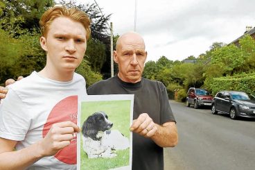 Family’s grief over dog death