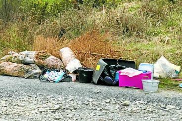 Illegal fly tipping raised at Holyrood