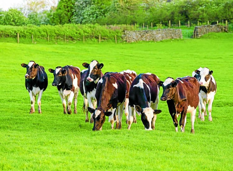 Young farming innovators wanted for competition