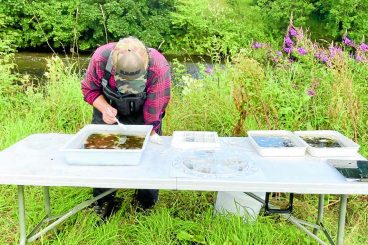River survey looks  at local water life