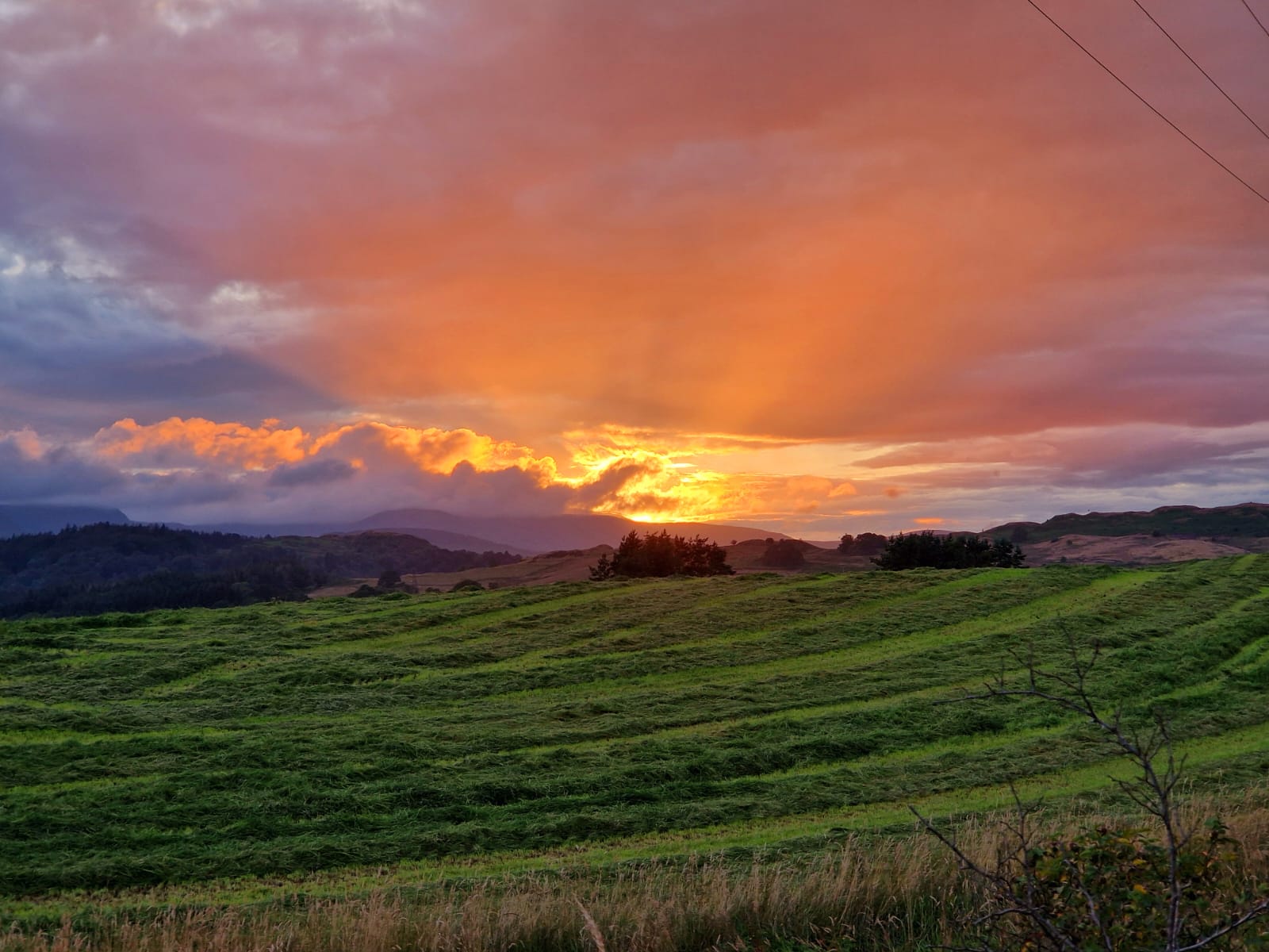 Landmark project promotes agri resilience