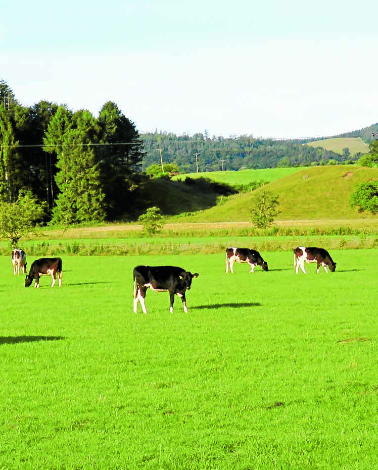 Furious farmers attack Budget