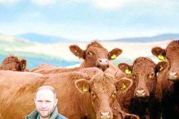 Farmer to share his tree planting experience