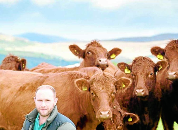 Farmer to share his tree planting experience