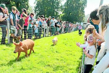 Show day brings sunshine, smiles and racing pigs!