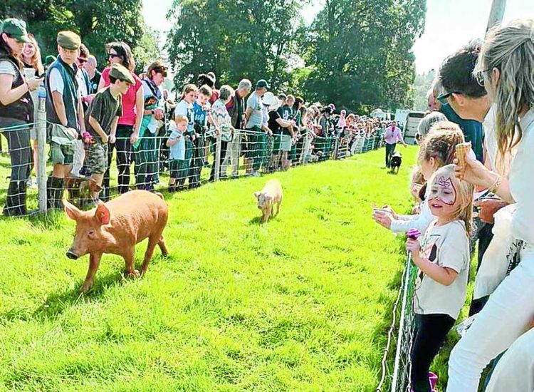 Show day brings sunshine, smiles and racing pigs!