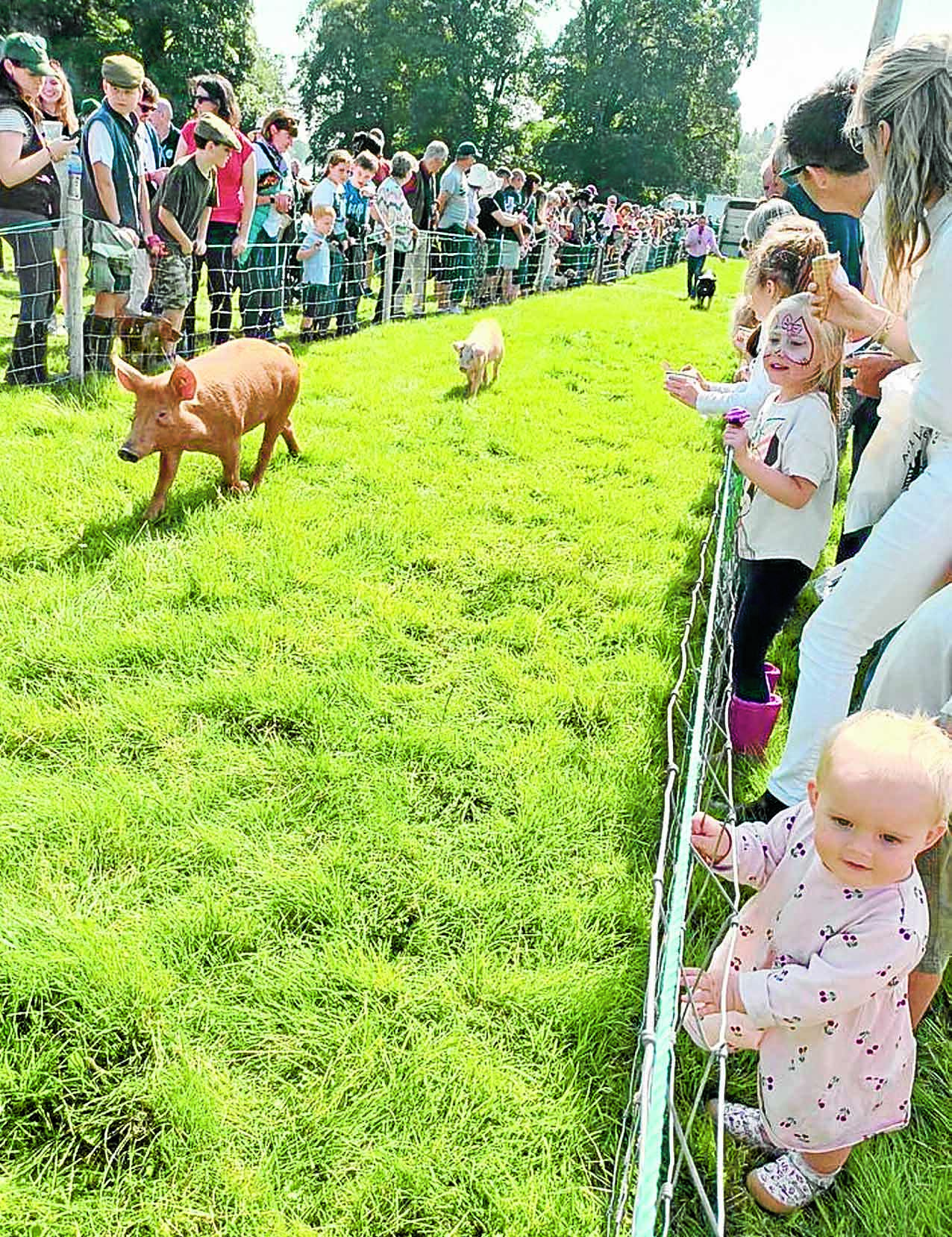 Show day brings sunshine, smiles and racing pigs!