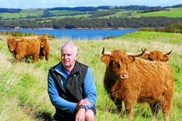 ‘Nothing to fear’ - says Galloway farmer