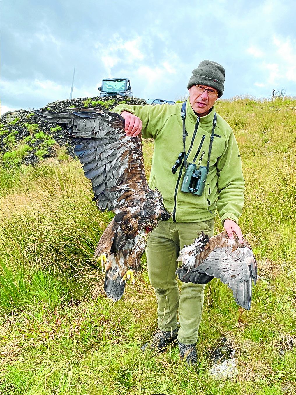 Wind turbine to blame for eagle death