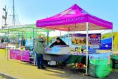 Top reasons to visit the last Harbour Market of the year