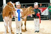 Dairy show celebrates best of South West