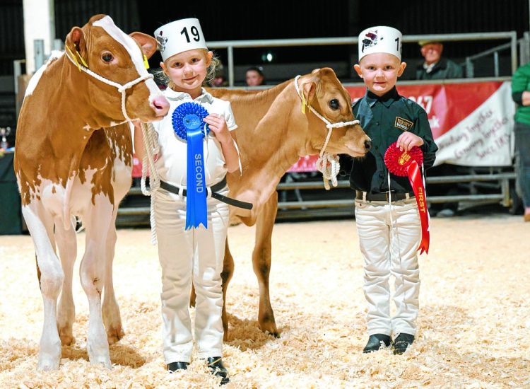 Dairy show celebrates best of South West