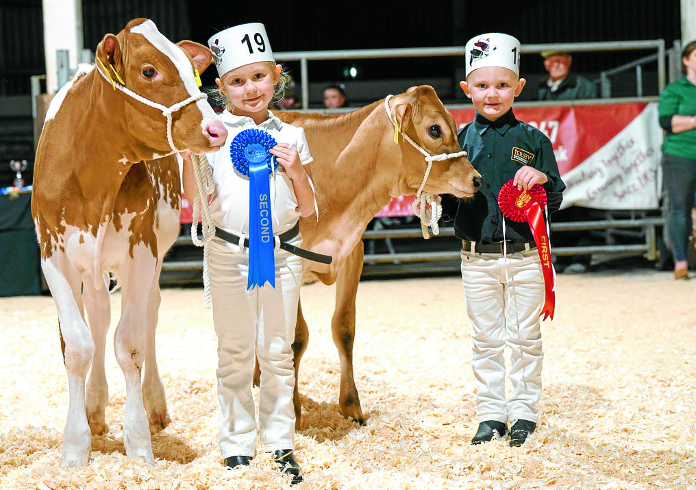 Dairy show celebrates best of South West