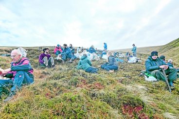 Tree planting continues