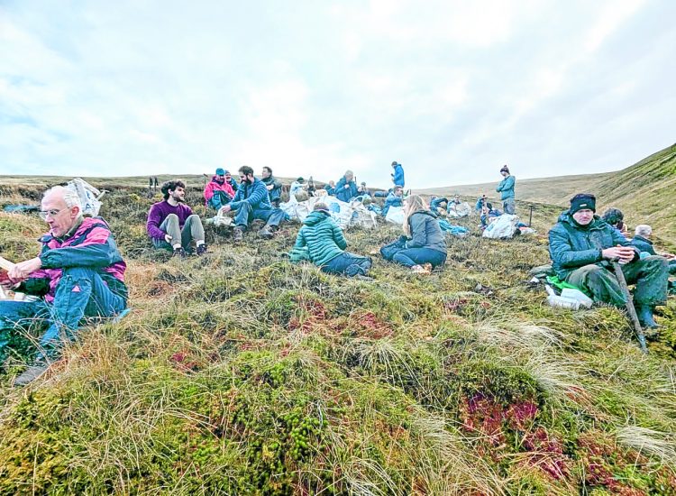 Tree planting continues