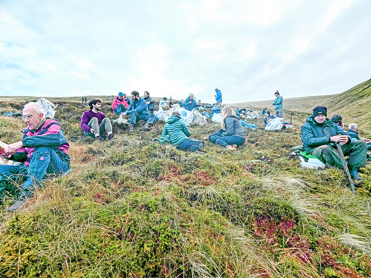 Tree planting continues