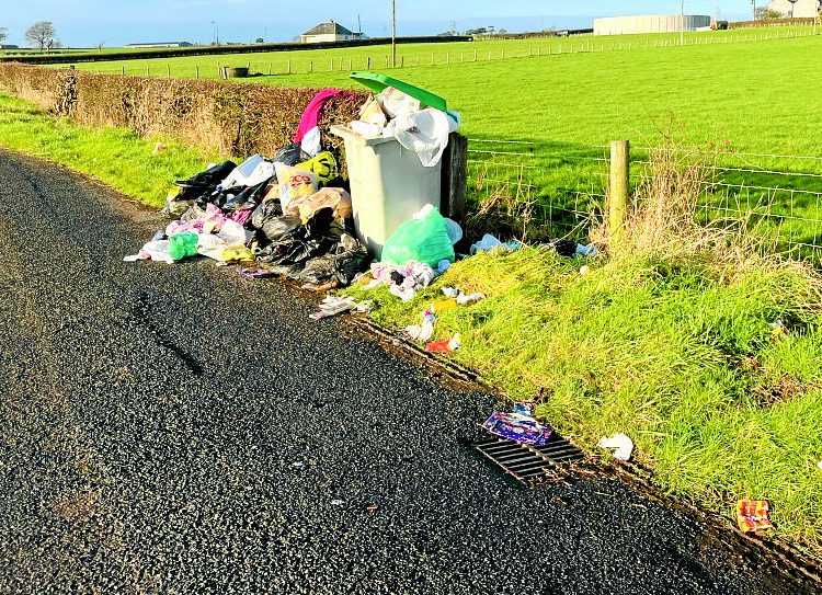 Roadside bins used for household waste