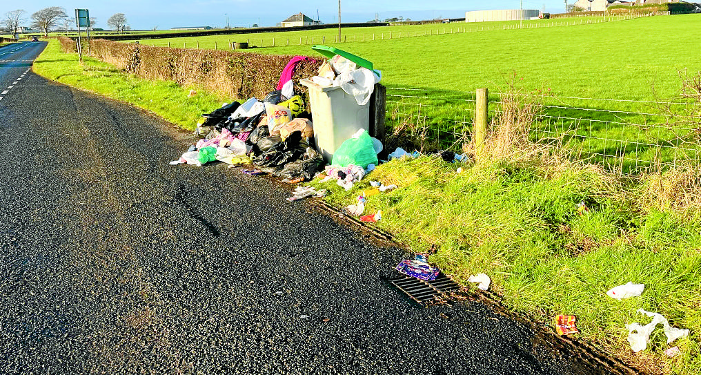 Roadside bins used for household waste