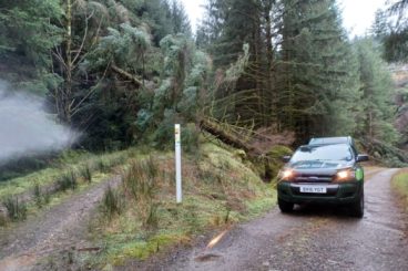 Forests are ‘highly dangerous’ after storm