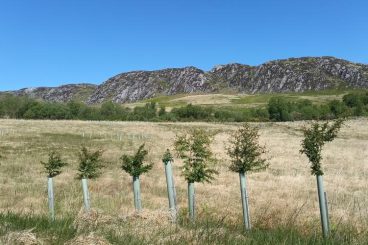 Tree-mendous efforts at reserve