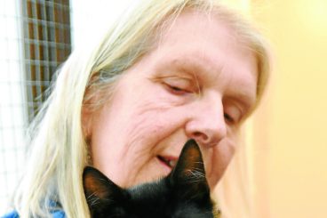 Cat charity reflects on a busy year