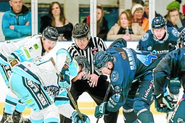 Sharks thrash Pitbulls