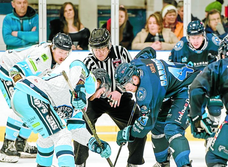 Sharks thrash Pitbulls