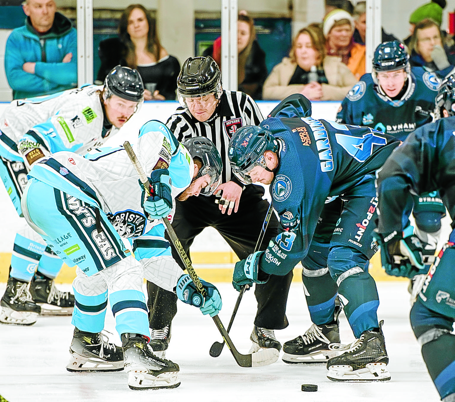 Sharks thrash Pitbulls