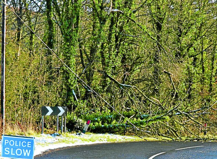 Storm problems were ‘not acceptable’