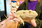 Dog walker recalls exotic pets find