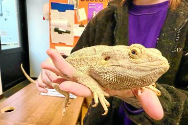 Dog walker recalls exotic pets find