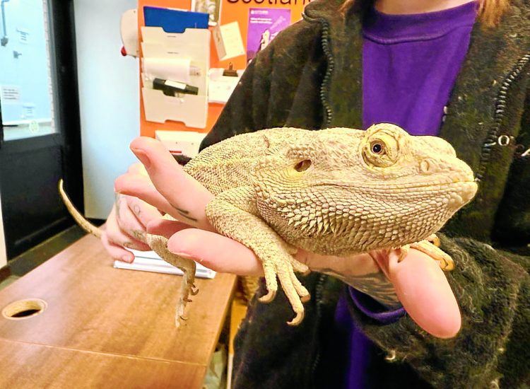 Dog walker recalls exotic pets find