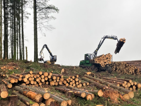 Common sense call to forest bikers