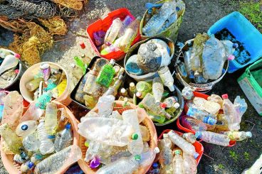 Unusual items wash up in beach clean