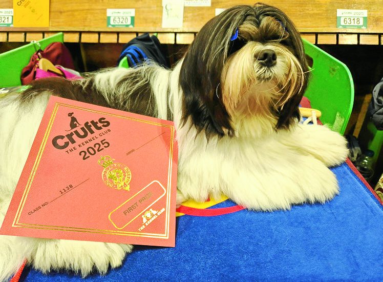 Crufts cheer for family