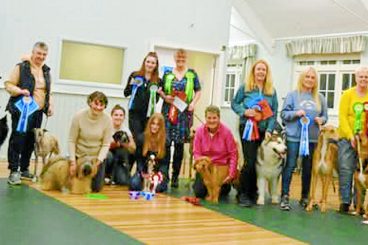 Crufts winners take a bow-wow