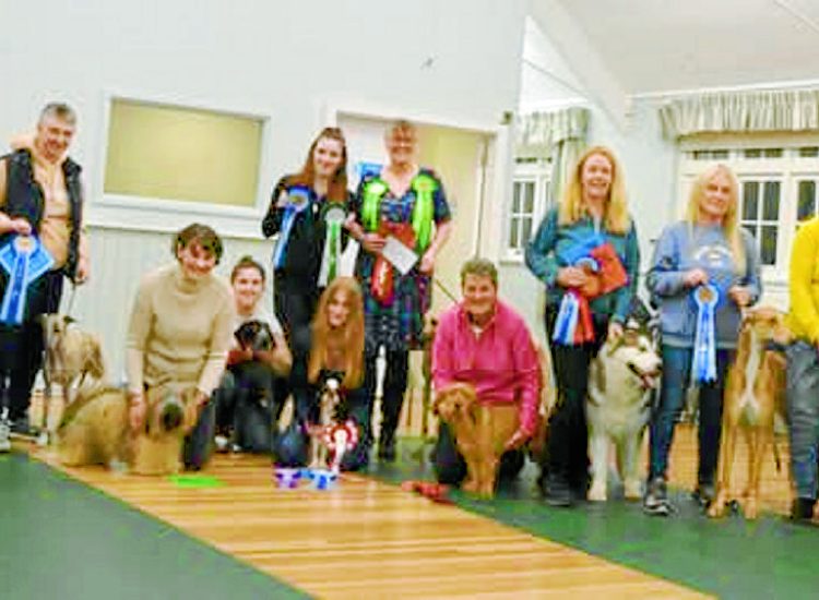 Crufts winners take a bow-wow