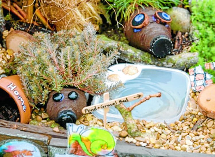 Great garden designs from region’s kids